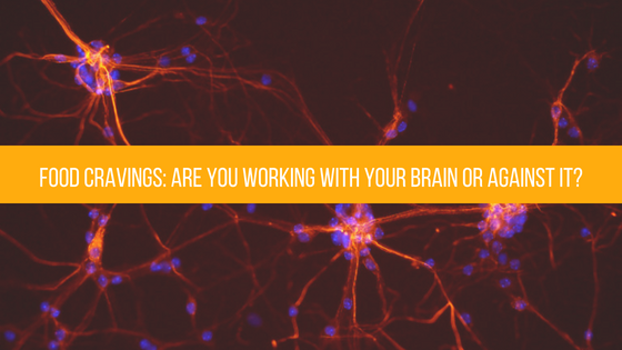 Food Cravings: Are you working WITH your brain or AGAINST it?