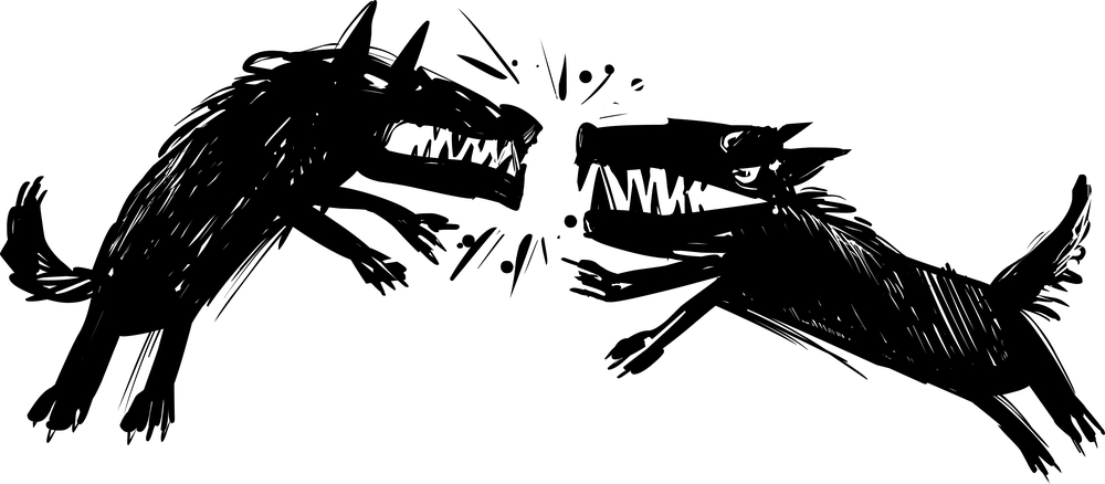 Illustration of Two Angry Fighting Wolves Baring their Teeth